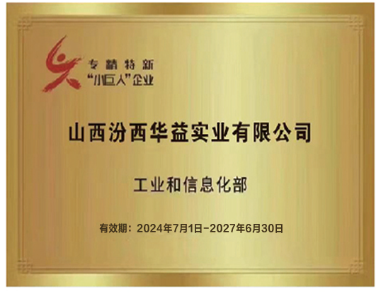 專精特新”小巨人“企業工業和信息化部